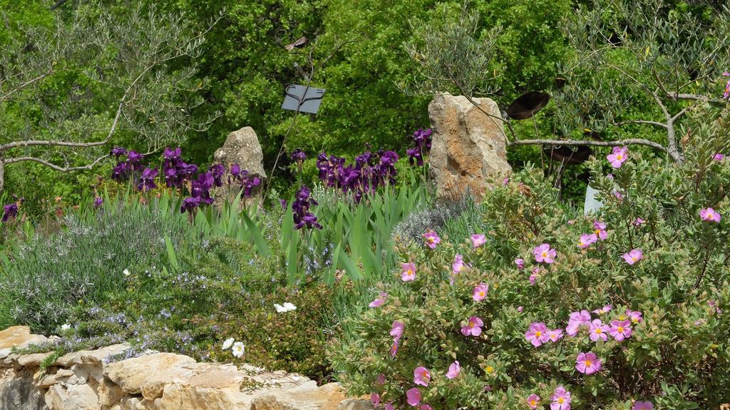 Les Hauts Des Materonnes Tourves Экстерьер фото